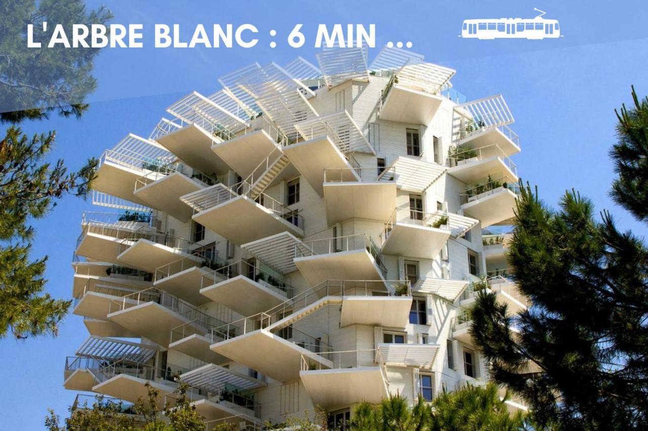 Nouveau - Jungle Montpeul - Clim - Wifi Fibre - Netflix - 5' Du Centre Et Gare - Parking - Loggia - 15' Des Plages モンペリエ エクステリア 写真