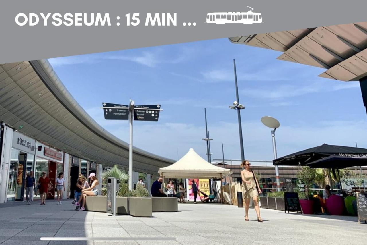 Nouveau - Jungle Montpeul - Clim - Wifi Fibre - Netflix - 5' Du Centre Et Gare - Parking - Loggia - 15' Des Plages モンペリエ エクステリア 写真